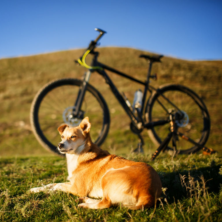 échangez vos points