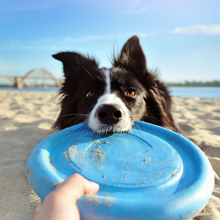 échangez vos points