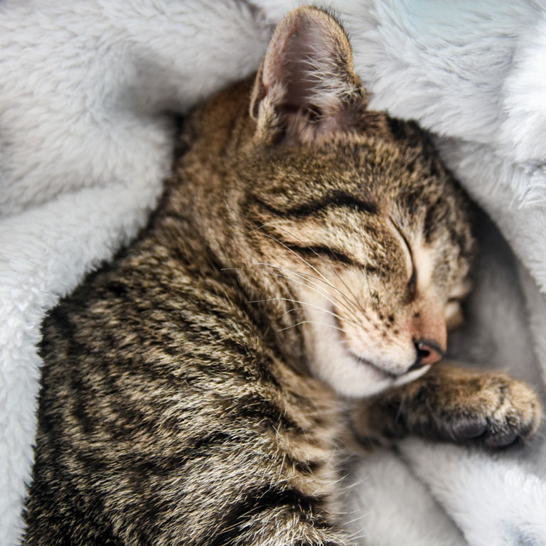 échangez vos points