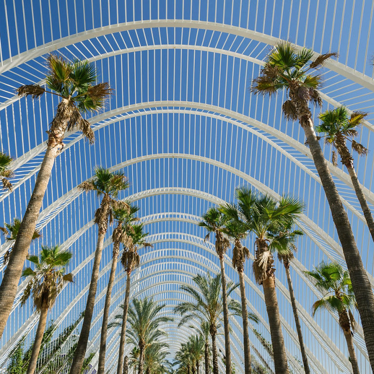 Enlace directo con información sobre Valencia, donde se ubica nuestro hotel ILUNION Valencia 4