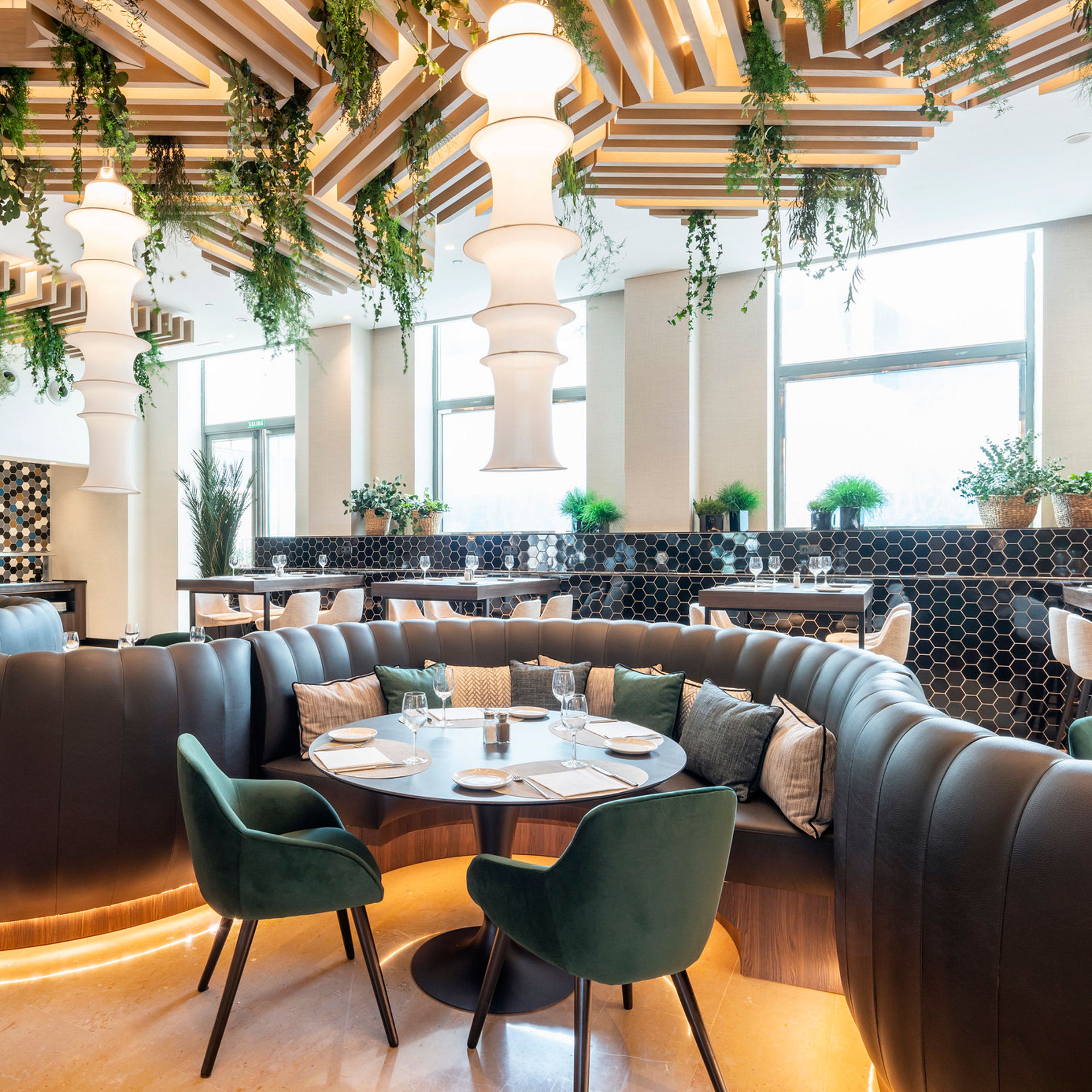comedor rodeado de plantas