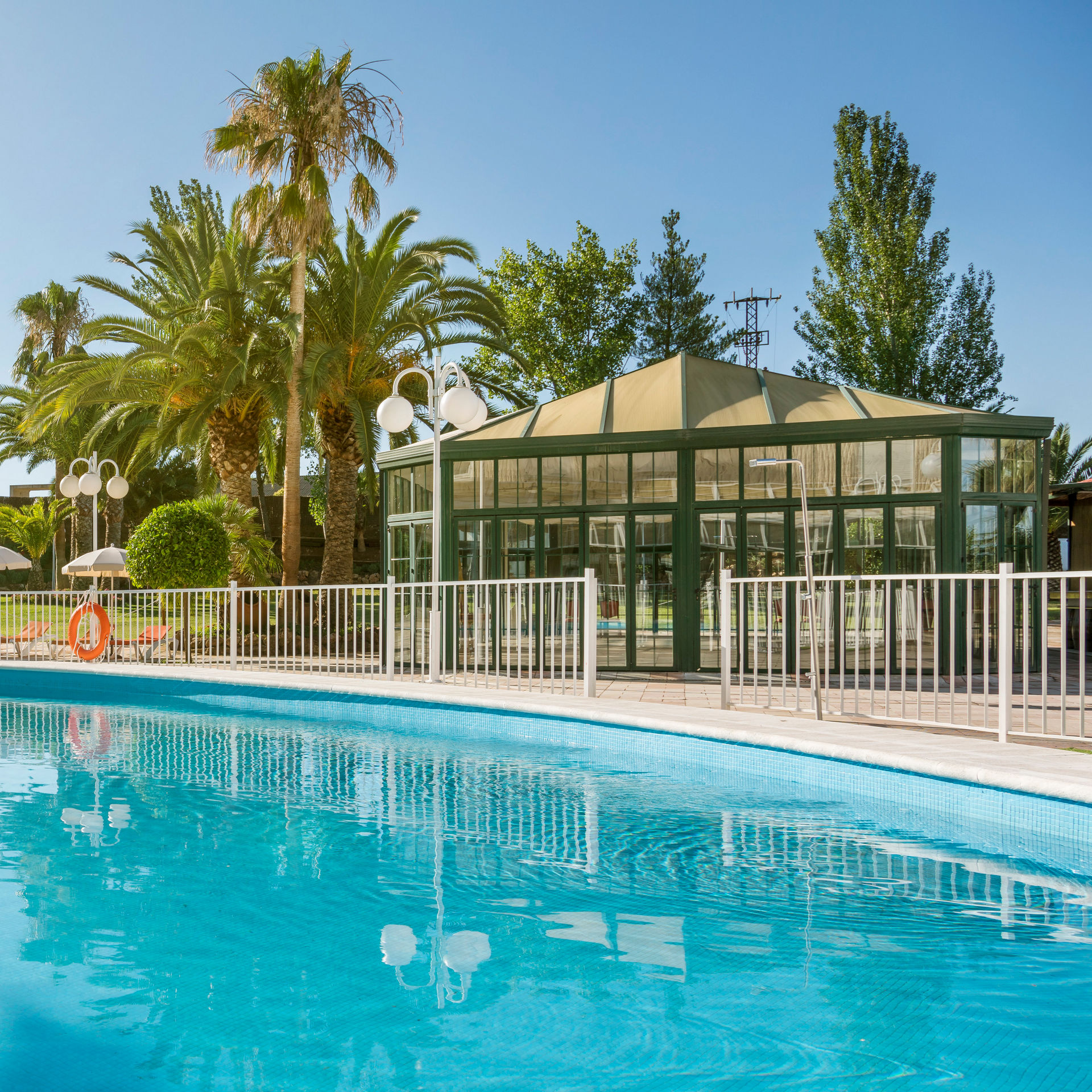 piscina exterior rodeada de palmeras