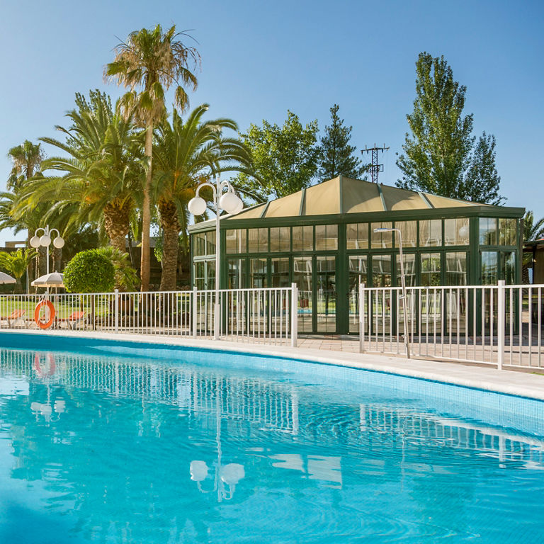 piscina exterior rodeada de palmeras