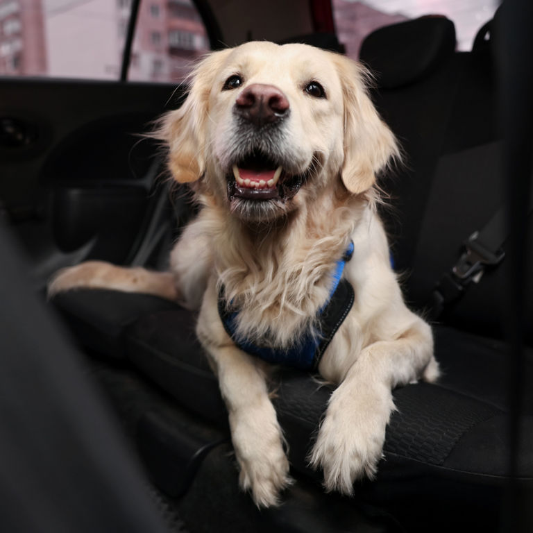 échangez vos points