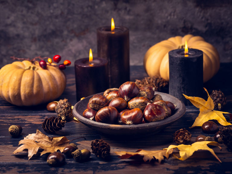 Organic sweet chestnuts with pumpkins on kitchen table, prepared for baking or cooking