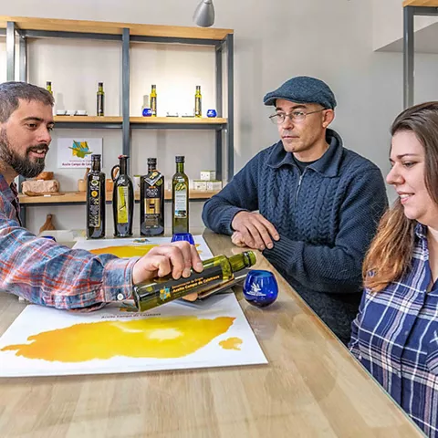 Cata de Aceite del Campo de Calatrava