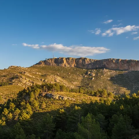 Entorno de la Microrreserva Peñas Coloradas