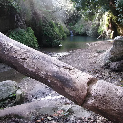 Ruta senderista PR-AB40