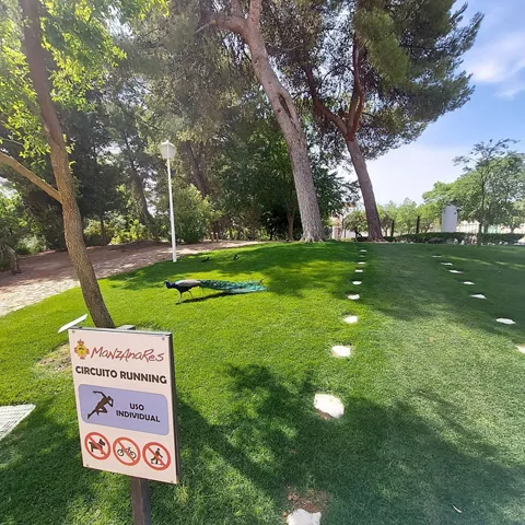 Circuito de running en el Parque Julián Gómez-Cambronero 