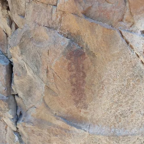 Abrigo del Chorrero, pinturas rupestres en Puertollano