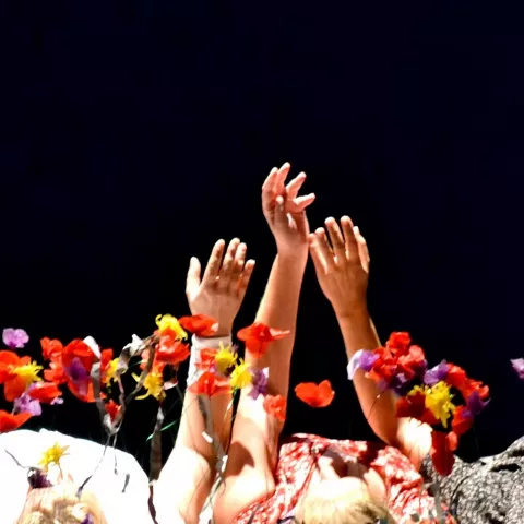 Festical de Teatro Aficionado en Almansa