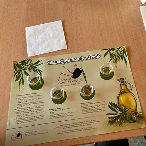 Cata de aceites del Campo de Montiel