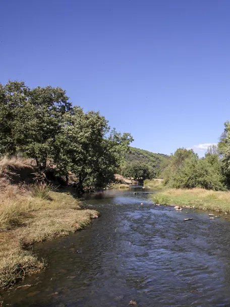 Estrecho de las Hoces en Puebla de Don Rodrigo