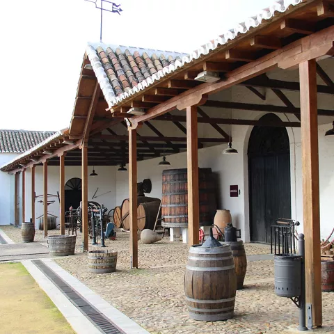 Exposición en el Museo del Vino de Valdepeñas