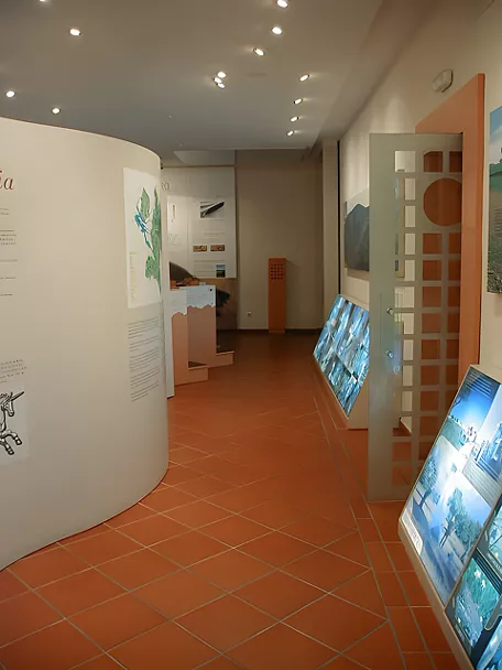 Expsoción en el Museo de la Fauna de Cabañeros