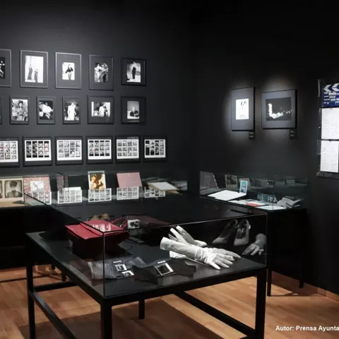 Fondos del Museo Manuel Piña de Manzanares