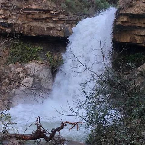 Ruta de senderismo al nacimiento del arroyo Bravo
