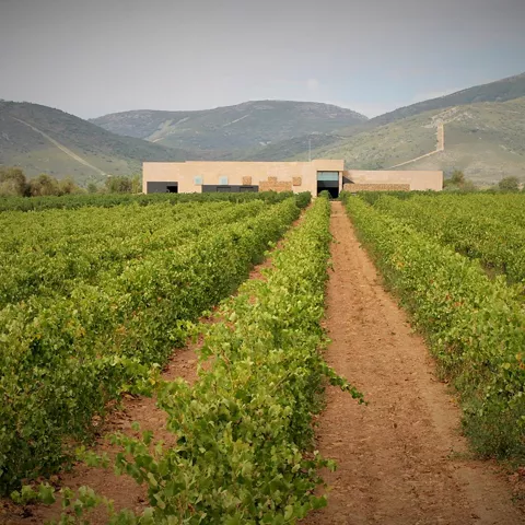 Panorámica del Pago Vallegarcía