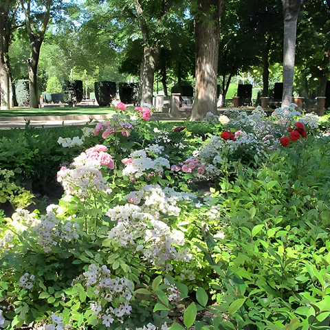 Flores en el Parque Gasset de Ciudad Real