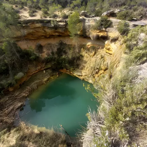 Tollo de las Tortugas en Villamalea