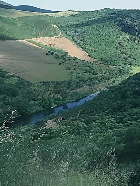 Zona Especial de Protección de Aves de Sierra Morena