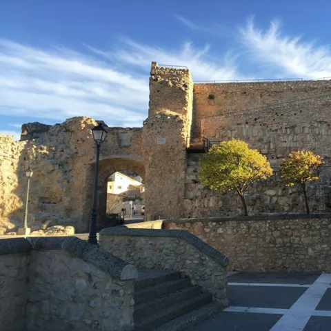 Restos de muralla con arco de acceso