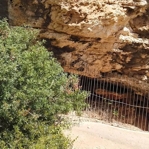 Entrada a una cueva en un farallón rocoso con arbustos en primer plano.