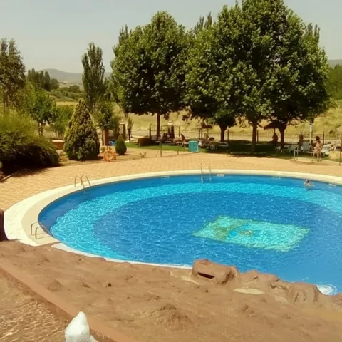 Piscina al aire libre con agua azul y área verde con tumbonas y sombrillas al fondo.