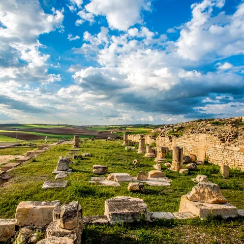 Restos arqueológicos de piedra entre campos verdes bajo cielo nuboso.