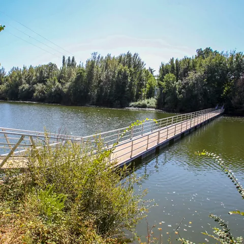 Pasarela peatonal sobre un río rodeado de vegetación