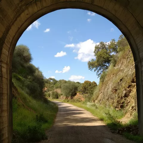 Camino atravesando túnel ferroviario histórico