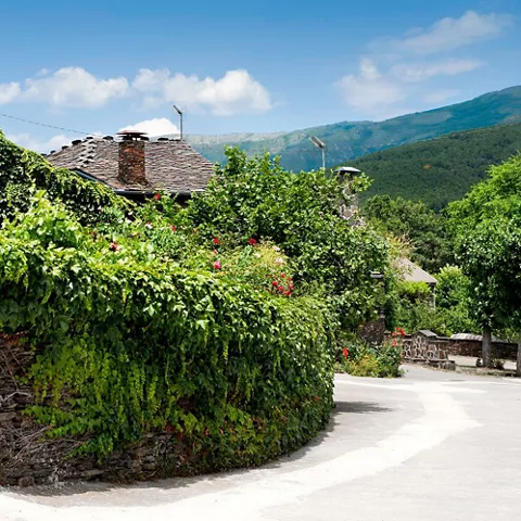 Calle con muros de piedra.