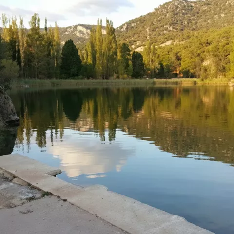 Lago tranquilo rodeado de bosque y montañas