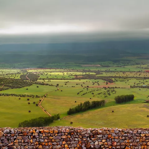 Paisaje del Campo de Calatrava.