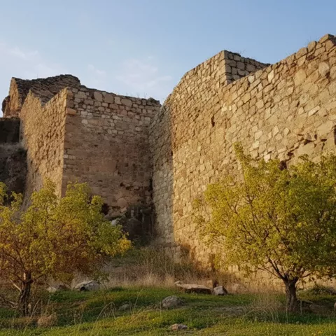 Restos de torre y muros fortificados