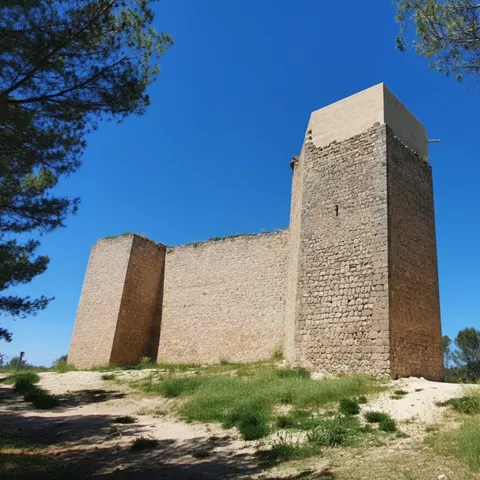 Torre cuadrada junto a sendero entre árboles.
