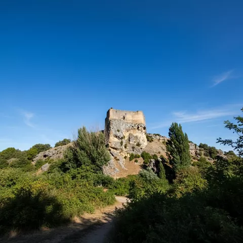 Torre defensiva en lo alto de una colina rodeada de vegetación.