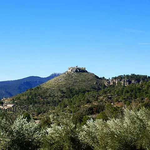 Vista panorámica de una colina con restos de muralla entre montes y vegetación.