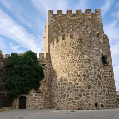 Torre circular almenada junto a muralla cubierta de vegetación.