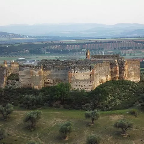 Vista elevada de una fortaleza rectangular rodeada de vegetación y olivares.