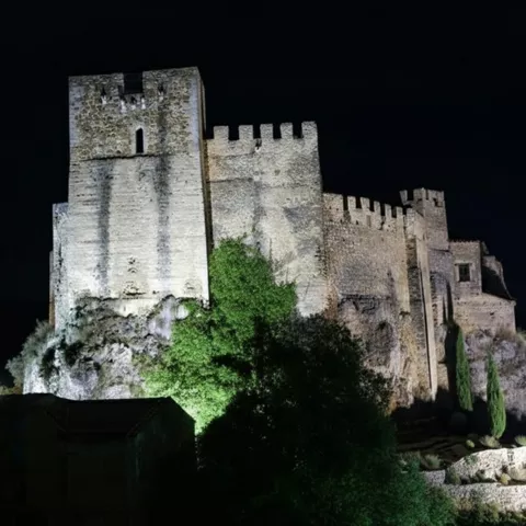 Fortaleza medieval iluminada en la oscuridad con vegetación en primer plano.