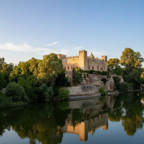 Castillo amurallado sobre la ribera con vegetación densa y reflejo en el río.