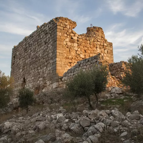 Restos de edificio fortificado rodeado de olivos.