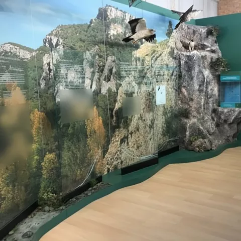 Exposición de naturaleza.