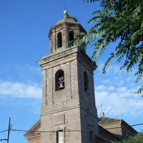Detalle de torre campanario entre árboles