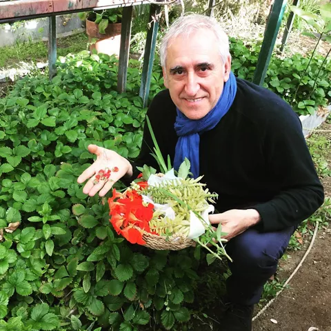 Hombre agachado en un huerto con cesta y frutos rojos