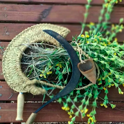 Cesta de mimbre con flores silvestres y herramienta tradicional sobre banco de madera.