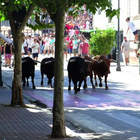 Varios toros recorren avenida arbolada con gente observando alrededor.
