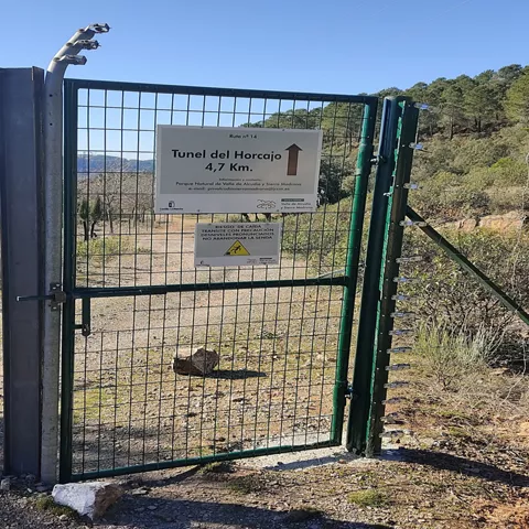 Acceso vallado a ruta natural entre pinares
