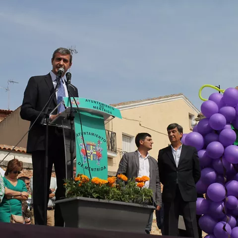 Autoridad local pronuncia un discurso en un acto festivo con decoración de uvas.